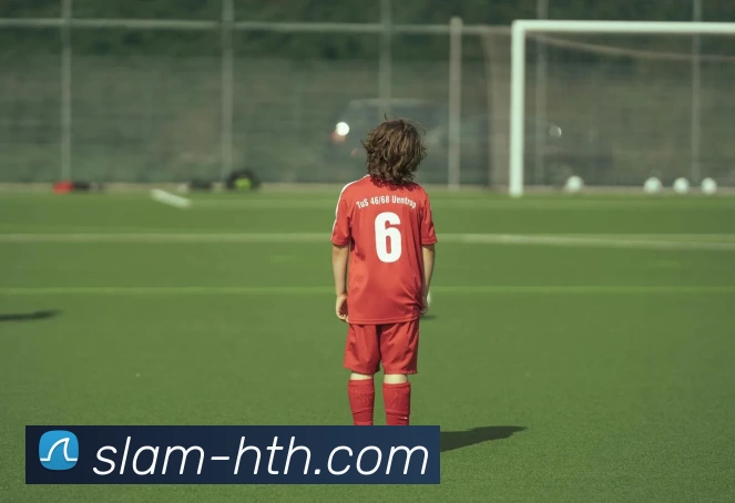 hth体育发展历程